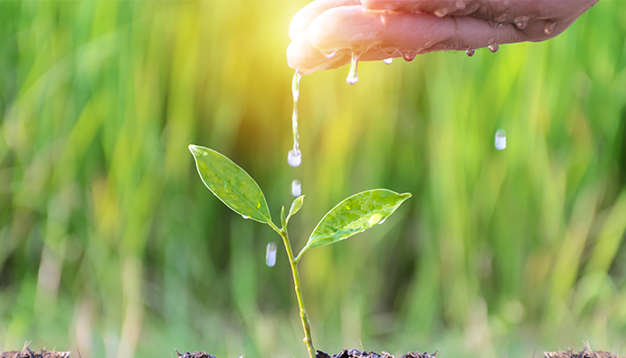 Un nouveau droit de préemption des surfaces agricoles pour préserver la ressource en eau